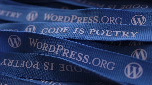 wordpress-552922_640 plugin para wordpress - ender Aplicaciones